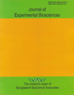 publication
