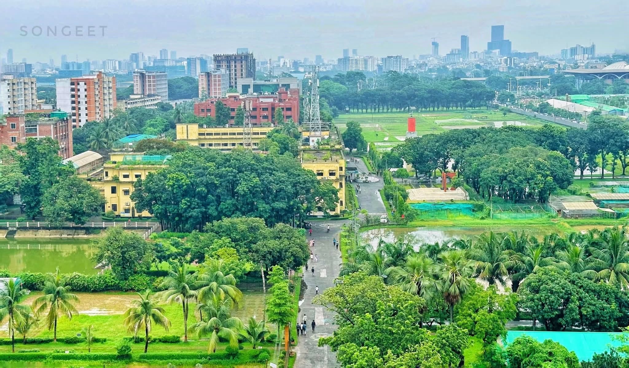 এগ্রি রোভার্স